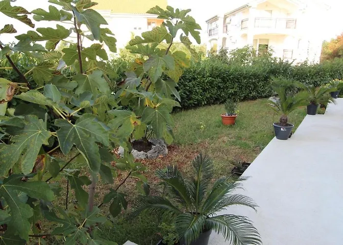 Guest house Jela 3*